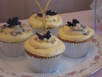 /album/photo-gallery-cupcakes1/jacks-first-camp-022-jpg/